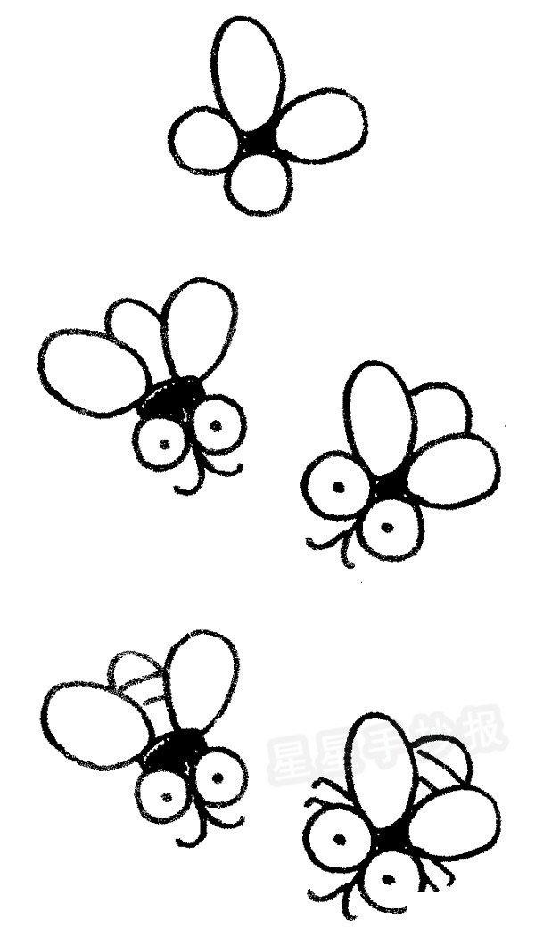 苍蝇简笔画