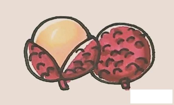 荔枝简笔画图片