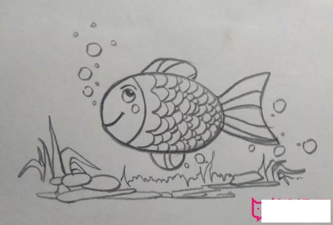 简单的儿童画教程，小鱼吐泡泡