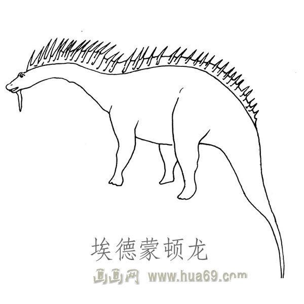 儿童简笔画恐龙：埃德蒙顿龙
