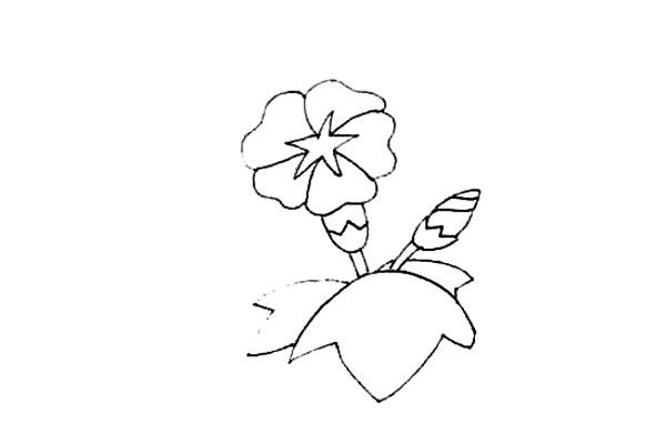牵牛花简笔画步骤图