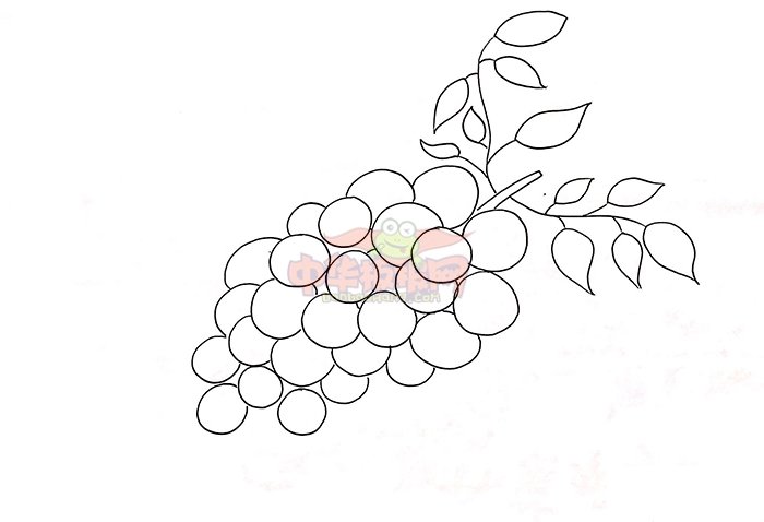 一串葡萄简笔画怎么画，一串葡萄简笔画简单