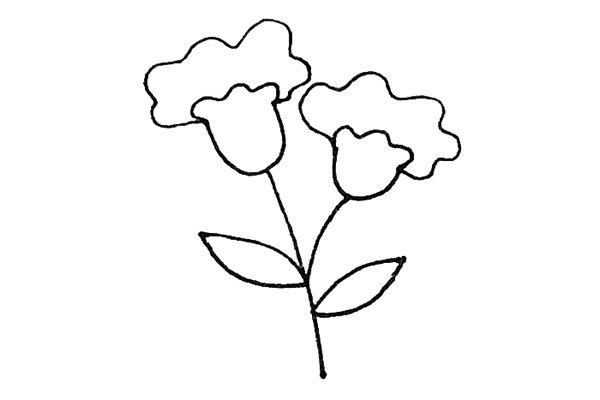 鸡冠花简笔画