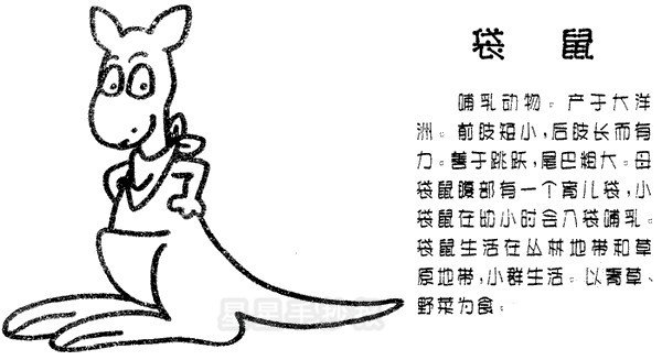 袋鼠简笔画