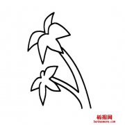 椰子树的超简单画法9