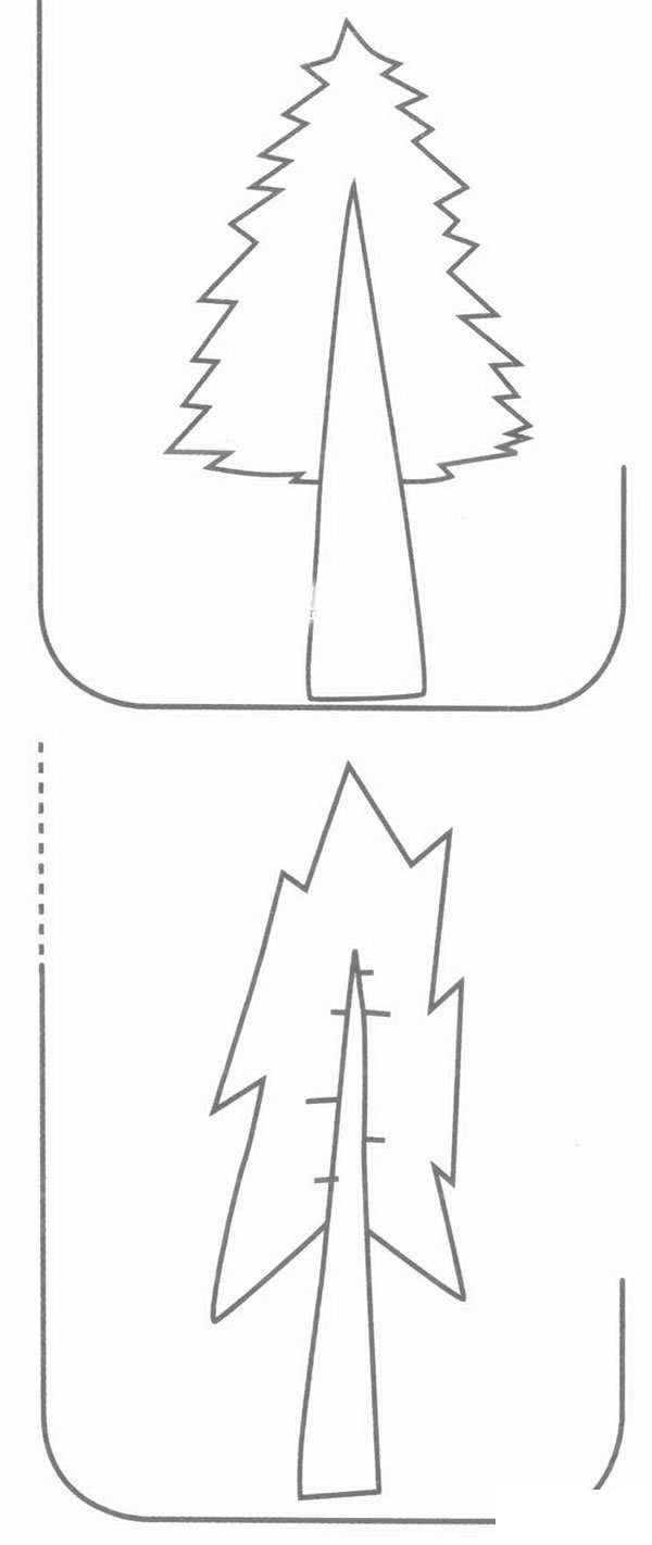 柏树简笔画