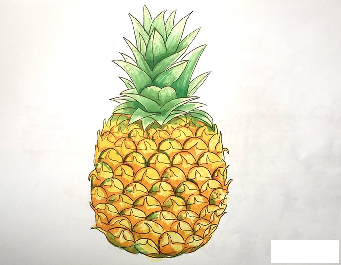 菠萝怎么画简单又好看