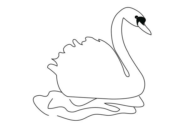 天鹅简笔画