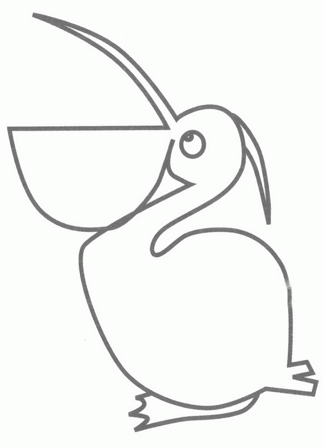 鹈鹕简笔画