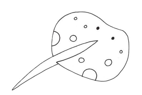 鳐鱼简笔画图片