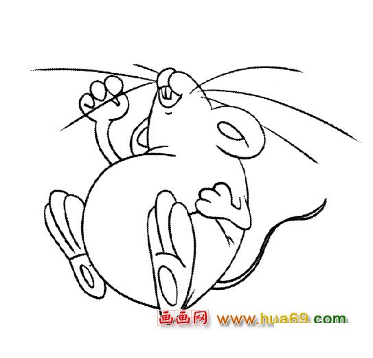 简笔画：老鼠晕了3