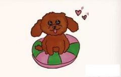 一只泰迪狗的画法步骤教程