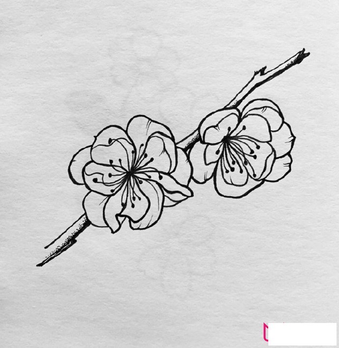 漂亮的植物简笔画大全，春有百花