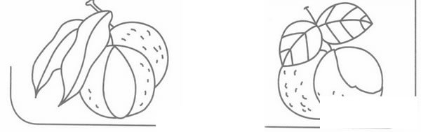 荔枝简笔画