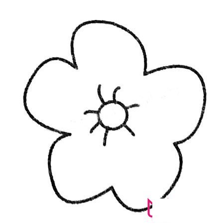 漂亮的简笔画花大全，梅花简笔画