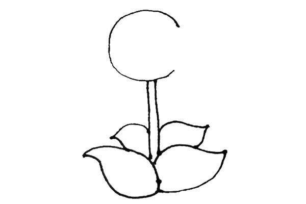 豌豆射手简笔画图片