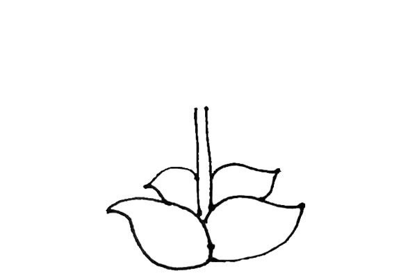 豌豆射手简笔画图片