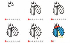 萤火虫昆虫简笔画步骤图片大全