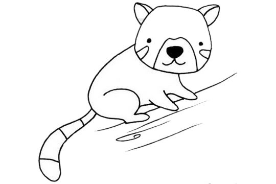 小熊猫简笔画图片