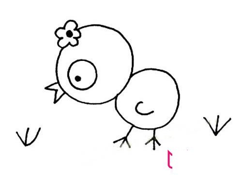 简单的动物简笔画大全，小鸡简笔画