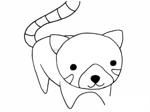 小熊猫简笔画图片