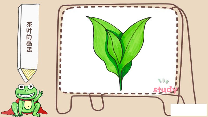 茶叶的画法
