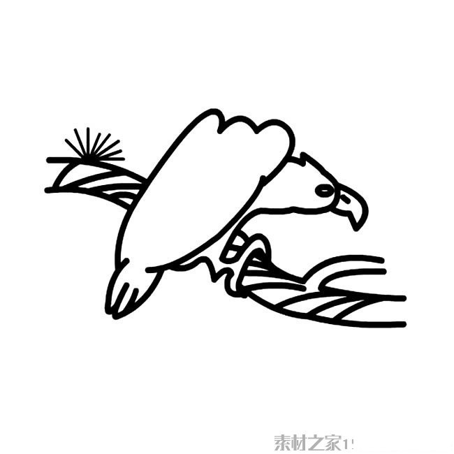 秃鹰简笔画图片