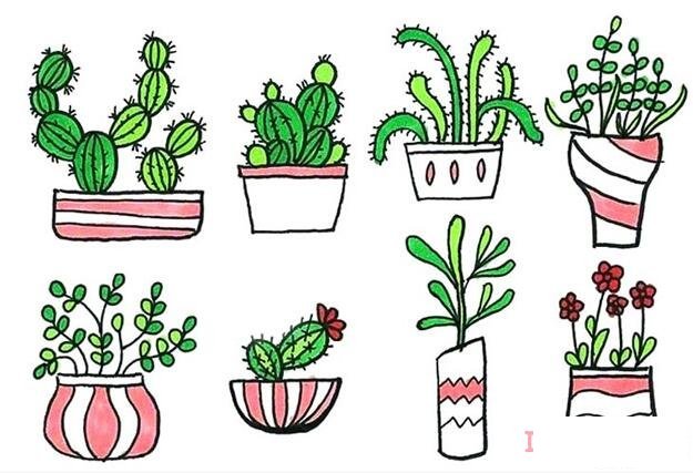 1分钟简笔画盆栽植物的画法详细步骤简单好看