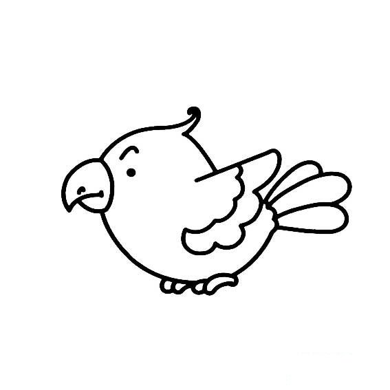 鹦鹉可爱的简易画法