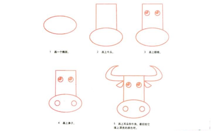 彩色简笔画公牛的图片教程