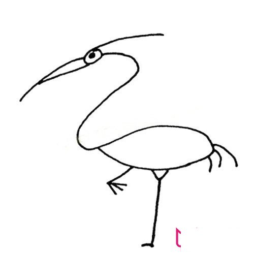 简单的动物简笔画大全，丹顶鹤简笔画