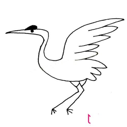 简单的动物简笔画大全，丹顶鹤简笔画