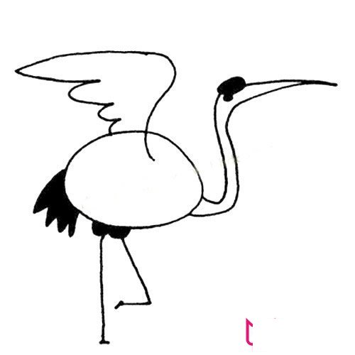 简单的动物简笔画大全，丹顶鹤简笔画