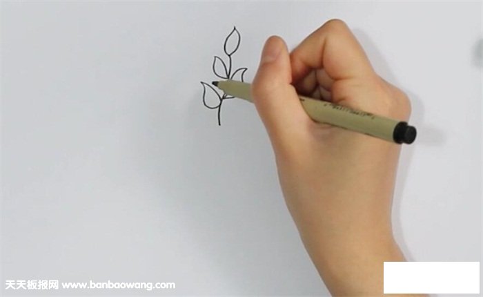 茶树简笔画
