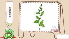 茶树简笔画