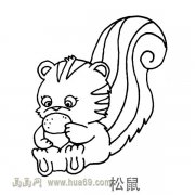 儿童简笔画：大尾巴松鼠