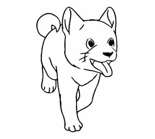 可爱的小狗简笔画图片大全_可爱的狗狗简笔画图片素材
