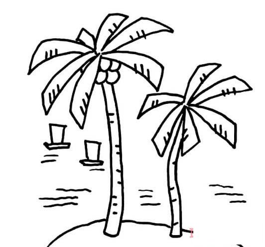 卡通椰子树简笔画怎么画简单好看
