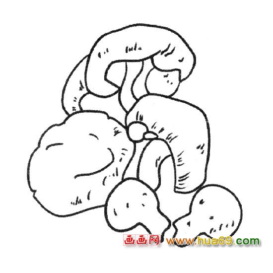 简笔画：蘑菇群3