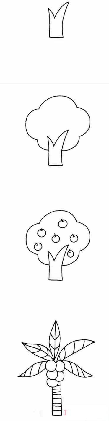 常见果树怎么画好看 带步骤图果树简笔画图片