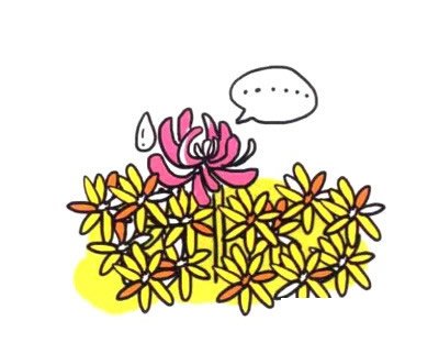 四步画出菊花简笔画图片