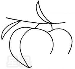 水蜜桃简笔画