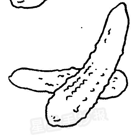 黄瓜简笔画