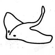 电鳐简笔画怎么画