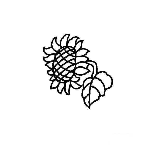 向日葵的简笔画
