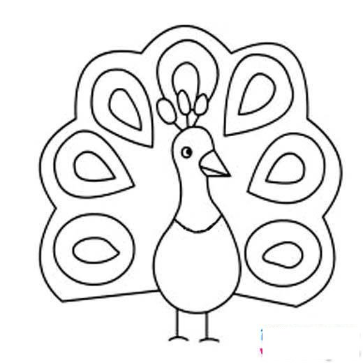 孔雀展开简笔画图片