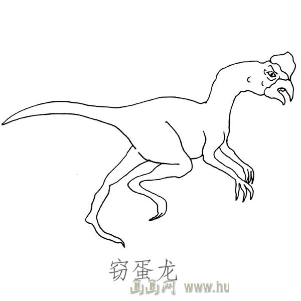 儿童简笔画恐龙：窃蛋龙