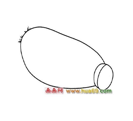 美味的莲藕【简笔画】1