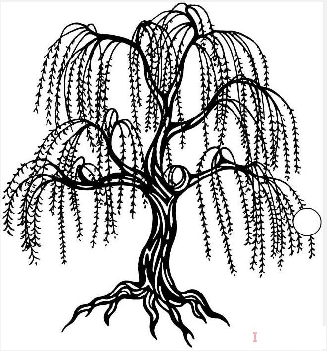春天垂柳树发芽怎么画素描简单漂亮