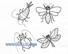 昆虫简笔画图片：蚊子1